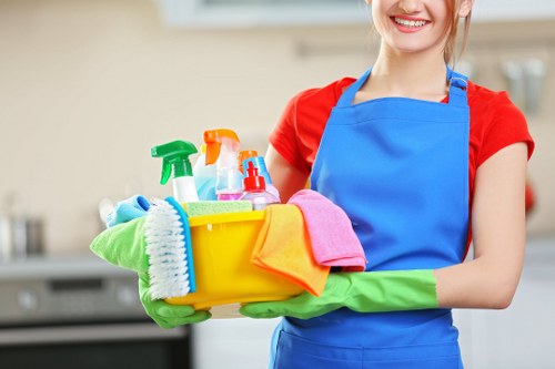 Domestic cleaning service for a family home near Kew and Richmond