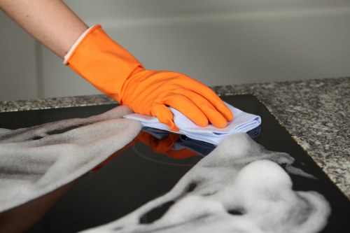 Professional steam carpet cleaning for a TW9 home interior