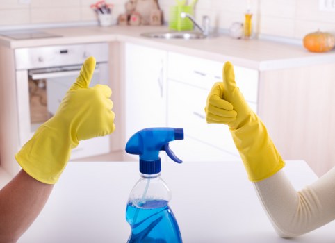 Carpet cleaning service for a local TW9 home interior