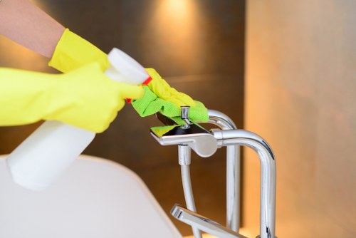 Before-and-after style focus on pet odour treatment in a TW9 home