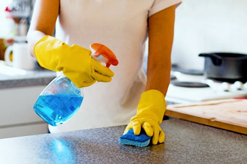 Professional domestic cleaner carrying out a tidy and thorough home cleaning service in TW9
