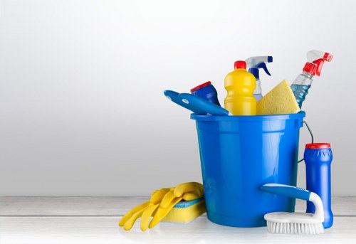 PPE used by professional cleaners in TW9