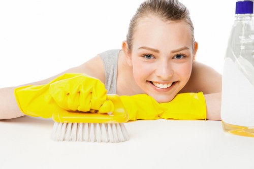 Professional rug cleaning service in TW9 for local homes