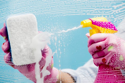 Local carpet and pet stain cleaning service for TW9 properties