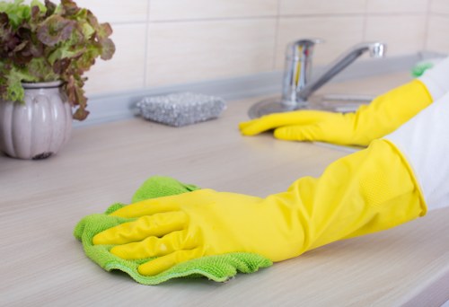 Kitchen and bathroom regular cleaning tasks in a TW9 property