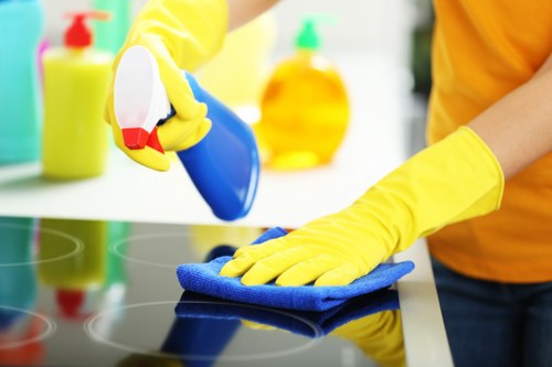 Equipment and product safety practices for professional cleaners