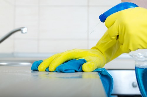 Deep cleaning support for a TW9 bathroom and hallway