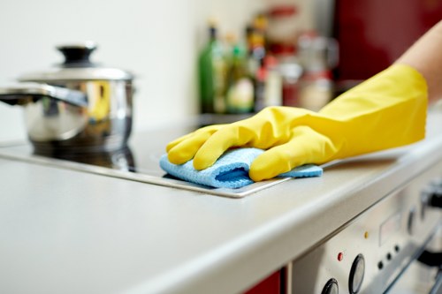 Preparation and specialist stain removal visit in TW9