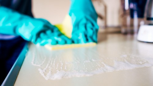 Local oven cleaner working in a Richmond TW9 property