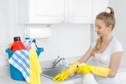 Stain treatment and carpet extraction for commercial premises in TW9