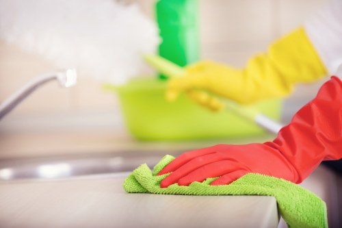 Experienced cleaners working in a TW9 home with careful attention to detail